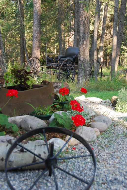 Kicking Horse Canyon Guest House Golden Exterior foto